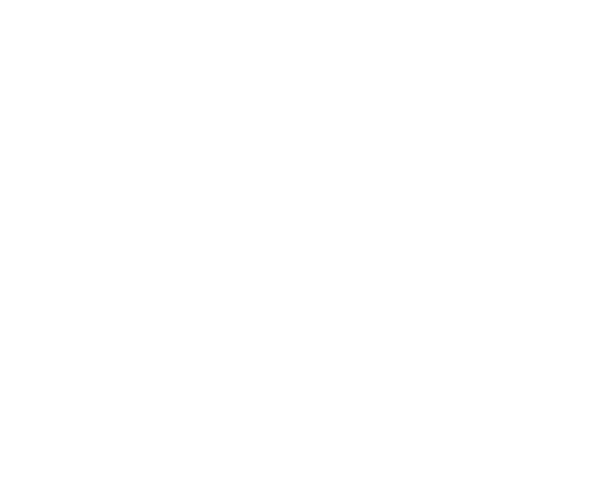 Expertise Best Real - Dallas Roof Master